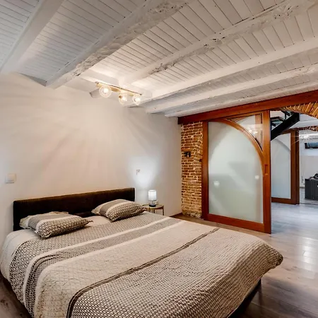 Spacieux 90m2 Jacuzzi, Standing,bien-etre * טולוז