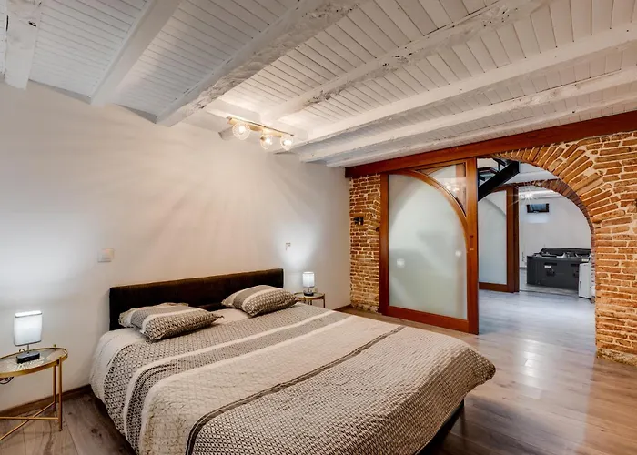 Spacieux 90m2 Jacuzzi, Standing,bien-etre * Toulouse